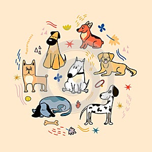 Vector poster with cute dogs of different breeds, Corgi, Bulldog, Dalmatian, Dachshund, Bull Terrier in cartoon style on a beige