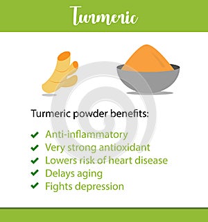 A vector poster or informative leaflet of an Indian herb, it`s powder and benefits in vector - Turmeric root - Vector