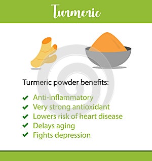 A vector poster or informative leaflet of an Indian herb, it`s powder and benefits in vector - Turmeric root - Vector photo