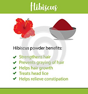 A vector poster or informative leaflet of an Indian herb, it`s powder and benefits - Hibiscus/ shoe flower - Vector photo