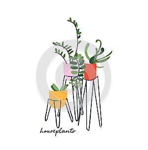 Maceta planta decoración ilustraciones. diseno. casa plantas 