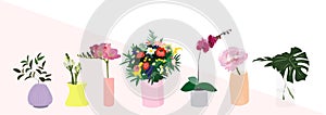 Vector pot plants illustration. philodendron, palm tree, orchid, flower in vase. interior design elements. home decor decoration.