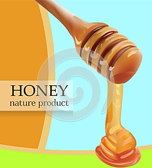 Vector Pouring Honey From Wooden Stick Realistic illustration. Card, Poster, Shop, Advertisement Template.