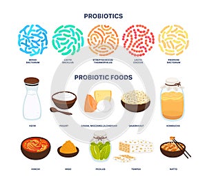 Vector probiotic foods. Best sources of probiotics. Beneficial bacteria improve health. Isolated elements
