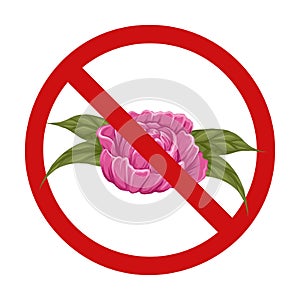 Vector prohibition sign with pink lush flowers. Peonies with leaves in the prohibition sign. Allergy danger. Dont pick flowers.