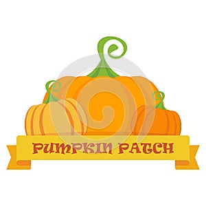 Vector pumpkin patch