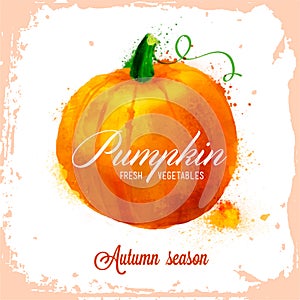 Vector pumpkin pattern,