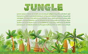 Vector Rainforest palm trees with other tropical exotic plants landscape. Lush forest jungle tree.