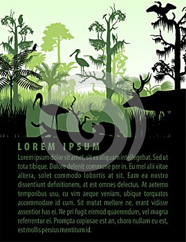 Vector rainforest wetland silhouettes in sunset design template with heron, deer, gator, turtle, kingficher and cormorant