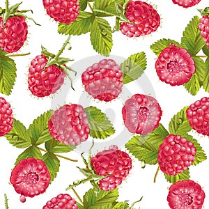 Vector raspberry pattern