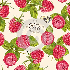 Vector raspberry tea pattern