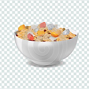 Vector realism style illustration muesli in bowl with fruits and berries