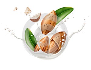 Vector realistic almond milk splash with leaves