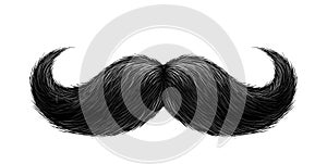 Vector realistic black mustache photo