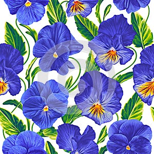 Vector realistic blue Pansies with green leaves