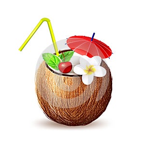 Vector realistic coconut exotic fruit 3d