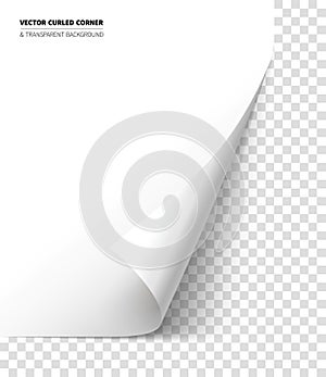 Vector realistic curled corner