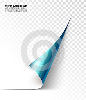Vector realistic curled corner