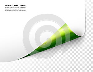 Vector realistic curled corner