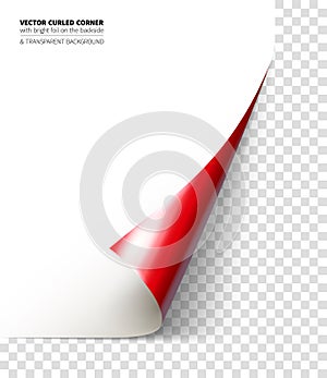 Vector realistic curled corner