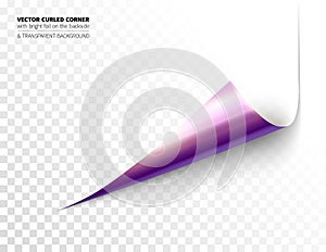 Vector realistic curled corner