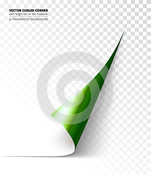Vector realistic curled corner