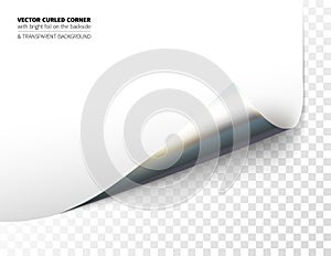 Vector realistic curled corner