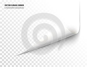 Vector realistic curled corner