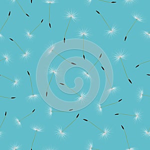 Vector Realistic Decorative Seamless Pattern with Dandelion Seed Scattered Random on Blue Background. Nature Floral