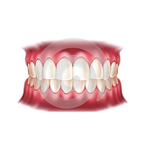 Vector realistic dentures human mouth with teeth