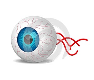 Vector realistic detached eyeball
