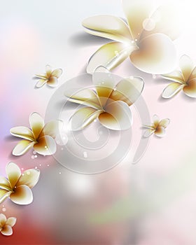 Vector realistic flower on blurred background