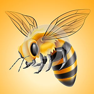 Vector realistic flying bee natural honey product
