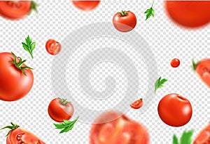 Vector realistic fresh red ripe tomato pattern