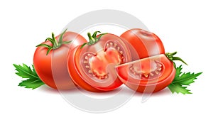 Vector realistic fresh red ripe tomato set