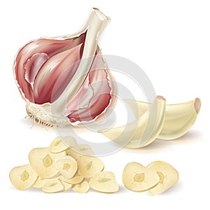 Vector realistic garlic, peeled cloves and slices