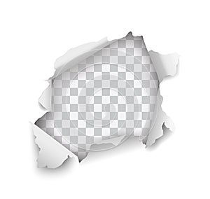 Vector realistic hole torn in paper on transparent background