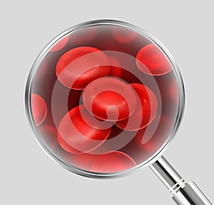 Vector realistic illustration of blood cells under magnifying glass isolated on grey background