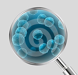 Vector realistic illustration of blue cocci bacteria cell types under magnifying lens isolated on grey background photo