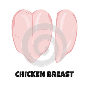 Vector Realistic Illustration of Chicken Breast