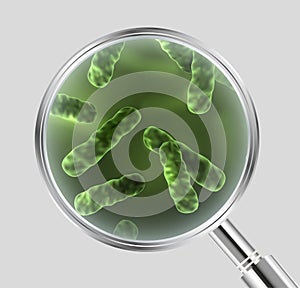 Vector realistic illustration of green bacteria cells under the magnifying glass isolated on grey background