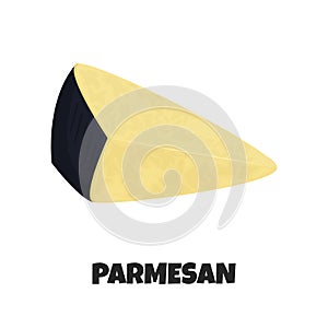 Vector Realistic Illustration of Parmesan Cheese