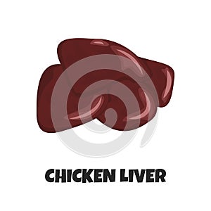 Vector Realistic Illustration of Raw Chicken Liver