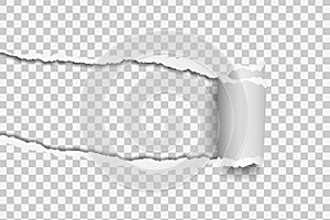 Vector realistic illustration of torn paper with rolled edge on
