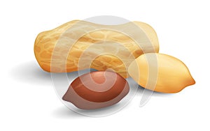 Peanuts in shell and peeled. Isolated