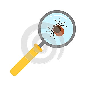 Vector realistic isolated ixodes tick insect with magnifier glass for decoration and covering on the transparent