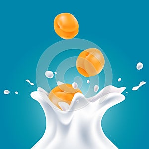 Vector realistic milk splashes with orange apricots