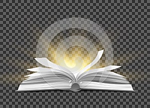 Vector realistic open book with fluttering pages