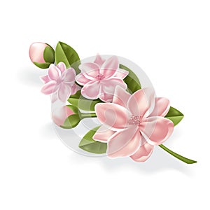 Vector realistic pink flower, cherry, lotos branch