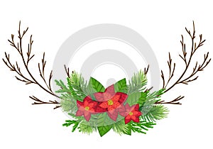 Vector realistic poinsettia plant with star flower and leaf for Xmas winter holiday decoration. Christmas background